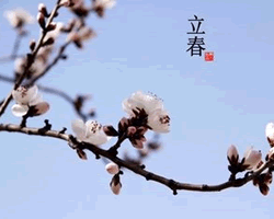 ��ʮ�Ľ�����ѯ