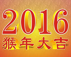 2016���������