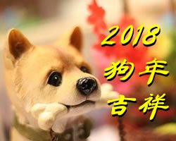 2018�깷������