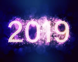 2019����������