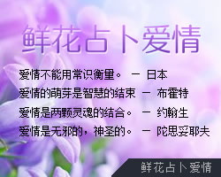 �ʻ�ռ������